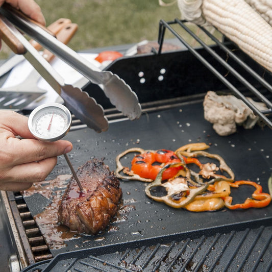 LÁMINAS PARA PARRILLA